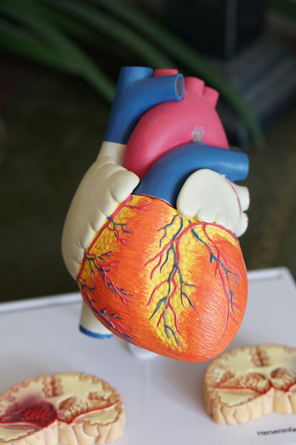 Jak zdać PES z neurologii dziecięcej — przewodnik 2026